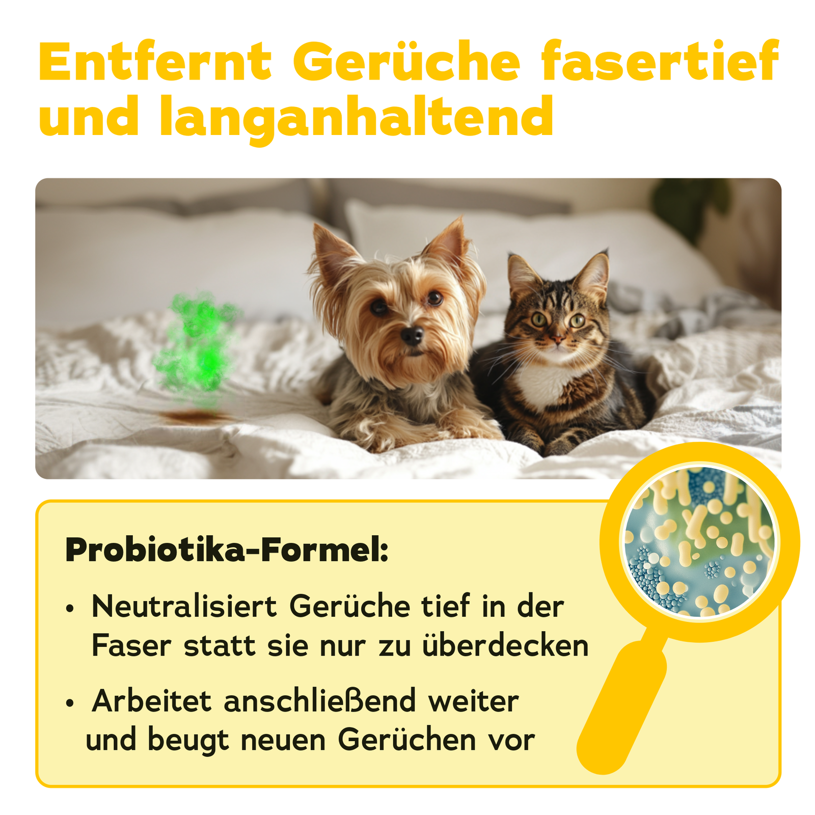 Bild 3 von 9