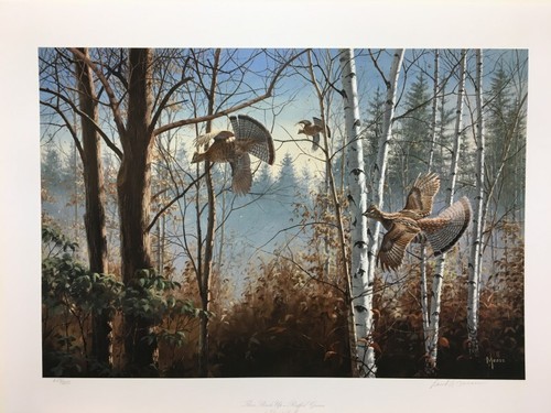 David Maass Three Birds Up Ruffed Grouse Signed & Numbered Art Print - 第 1/1 張圖片