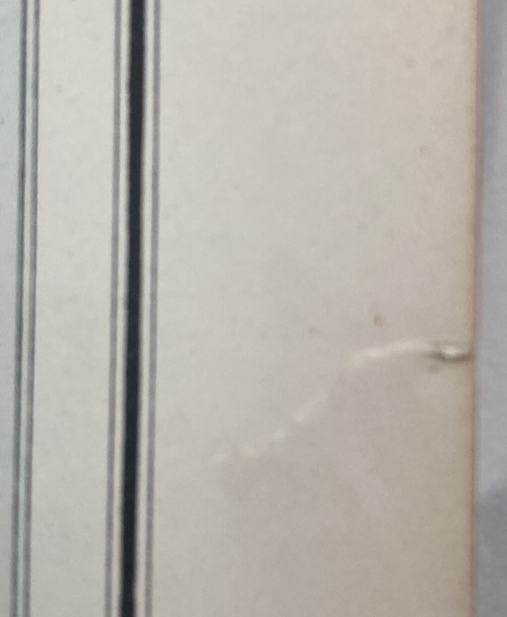 Picture 6 of 7