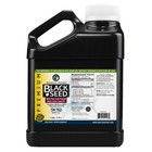 Black Cumin Seeds Seed Herbal Remedies & Resins