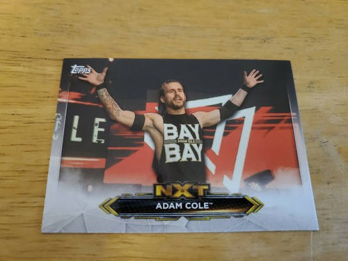 2020 Topps WWE NXT Roster Insert Cards (1-66) - Picture 4 of 76