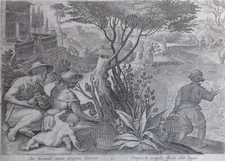 Stradanus Stradano Galle Caccia Coturnice Cosimo I Medici rock partridge 1578