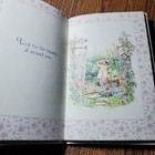 Foto 8 di 8