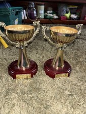 2 Resin Runner Up Trophies On Wooden Base 1995-96