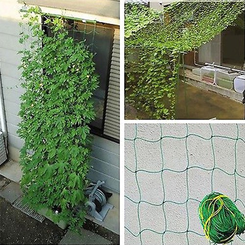 Garden Green Nylon Trellis Netting Support Climbing Bean Grow Fence Plant NetsSE - Picture 12 of 12