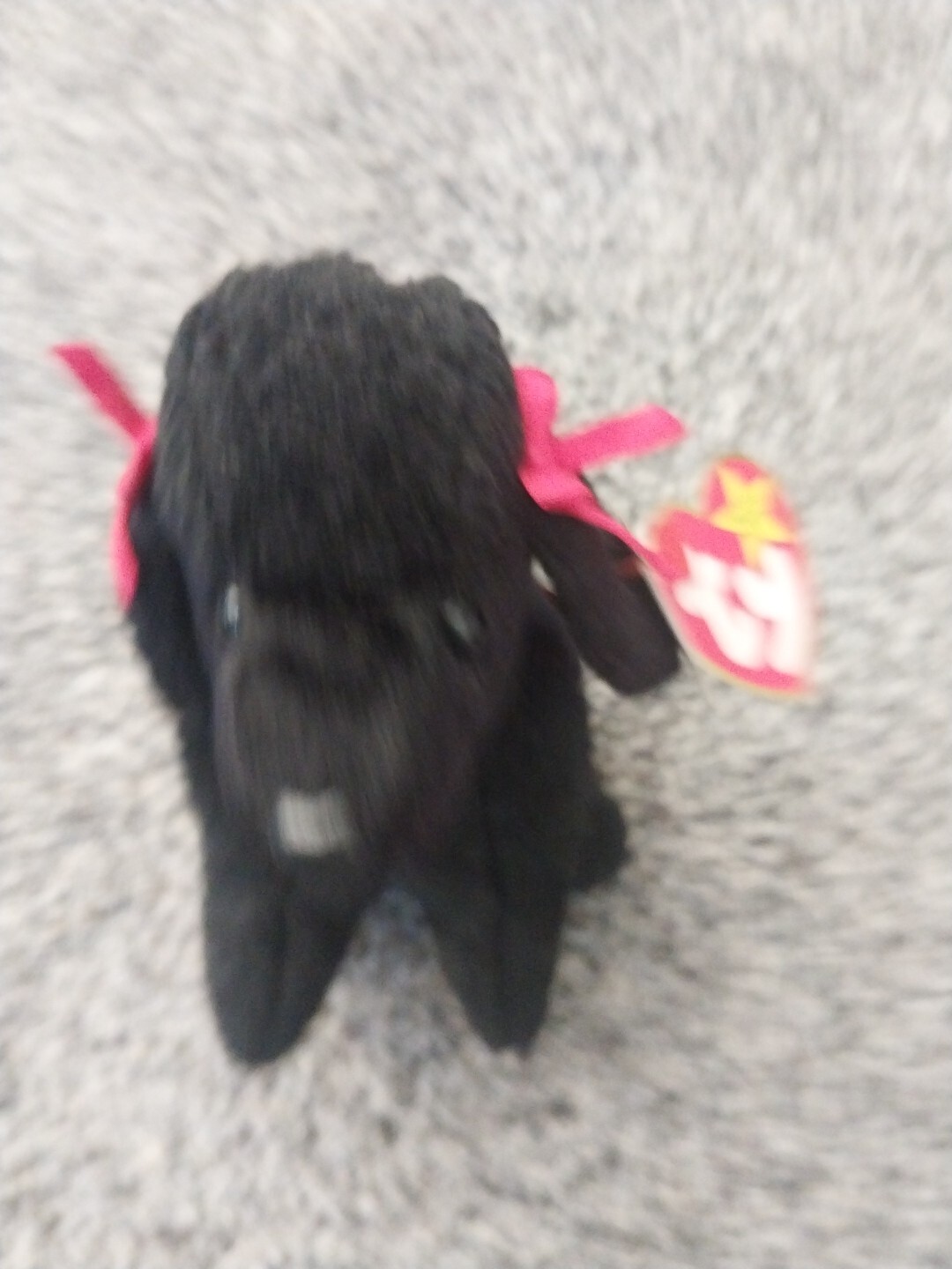 Picture 16 of 21