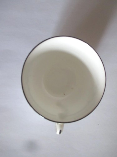 Beautiful Shelley China Festoon 11246 Black & White Swags Plate Cup Saucer Trio - Picture 6 of 9