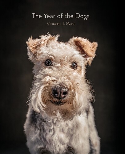 Thumbnail - Vincent J. Musi The Year Of The Dogs (gebundene Ausgabe)