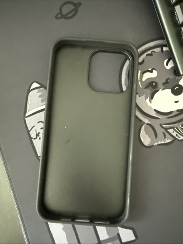 CASETiFY Mirror Case for iPhone 15 Pro Max Cat Pattern Design - 第 6/6 張圖片