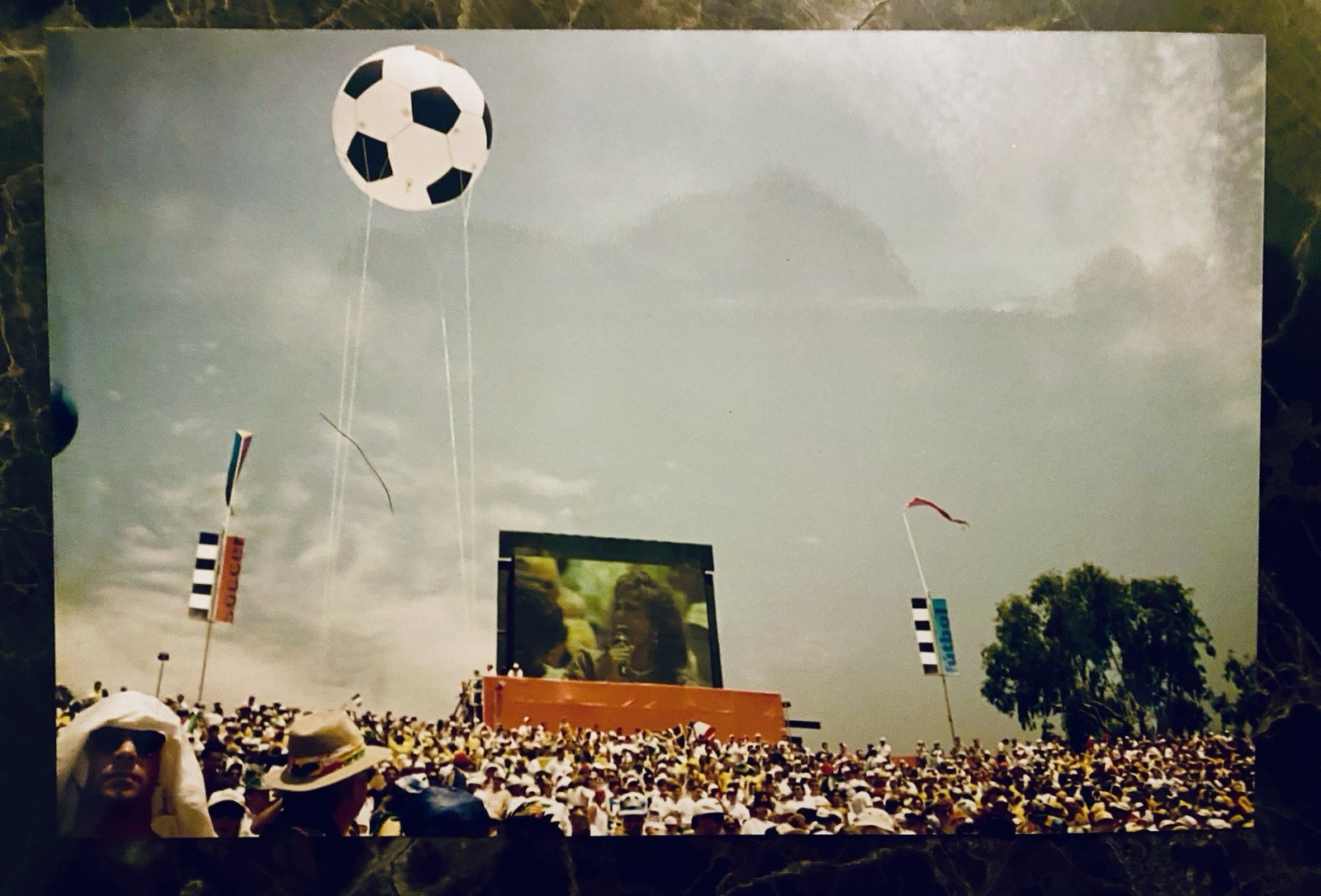 Bild 20 von 20