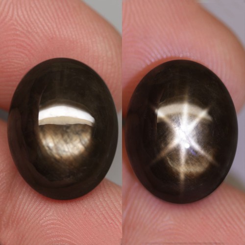 27.3Ct. Natural Star 6 Ray Sapphire Golden Black Oval Cabochon Unheated Thailand