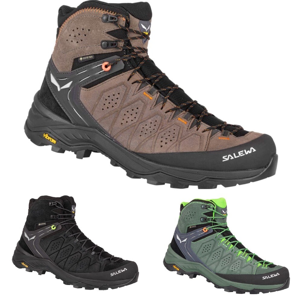 Salewa ms clearance alp trainer gtx