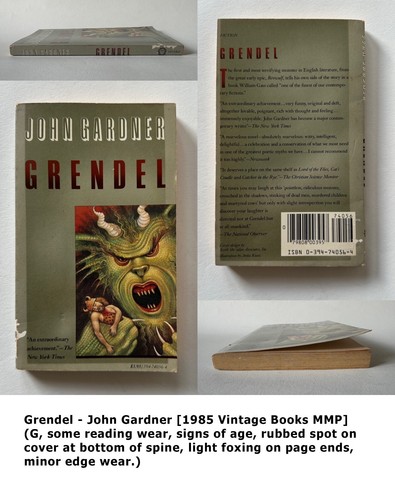 BUILD YOUR OWN Banned/Challenged Books Classic & Contempo Lit/YA Fiction PB LOT - Picture 31 of 62