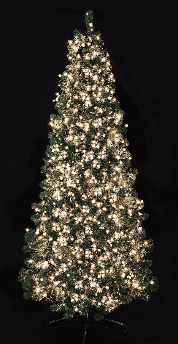 1000 LED bianco bianco bianco caldo Indoor & Outdoor Luci di Natale treebrights funzione timer c917da 1000 LED bianco bianco bianco caldo Indoor & Outdoor Luci di Natale treebrights funzione timer c917da