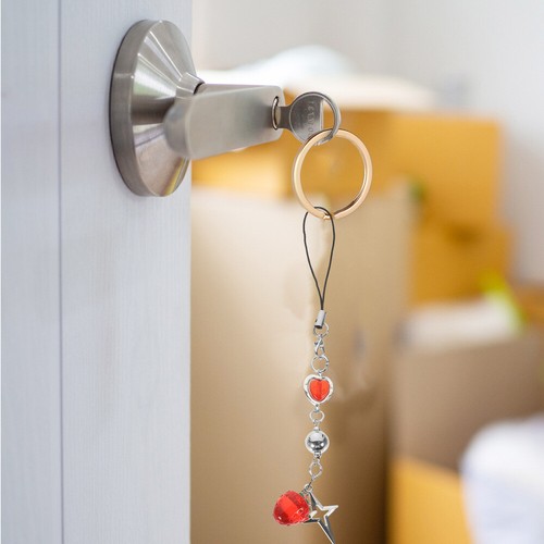 2 Pcs Small Strawberry Mobile Phone Chain Charm Bag Charms for Women - Zdjęcie 11 z 12