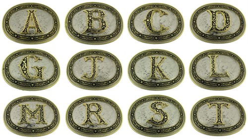 Initial N E W A B C D Letter G R S T Belt Buckle Men Women Rodeo Western Cowgirl - Picture 19 of 19