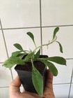 Picture 3 of 6
