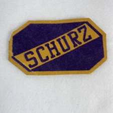 Vintage Felt Sew On Patch Carl Schurz High School Chicago Purple Gold 4 X 2 In.