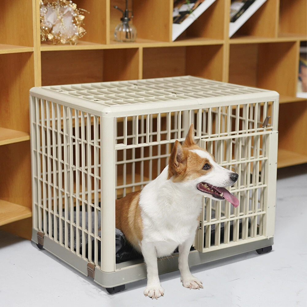 Plastic hotsell puppy crate