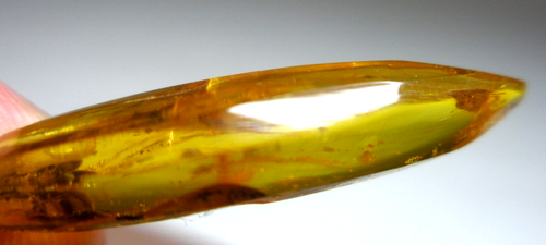Ambra baltica naturale PENDENTE ,, ZANNA '' - Imagen 10 de 18