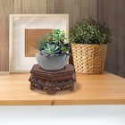 Wooden Plant Holder Stand for Vases Fish Bowls Hexagonal Display Base