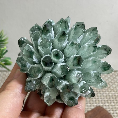 243g Nuevo Encontrar Verde Fantasma Cuarzo Cristal Racimo Mineral Espécimen Sanación - Imagen 10 de 14