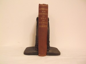 CR-1873-Charles-Darwin-Expression-of-Emotions-in-Man-and-Animals-1st-US-Edition