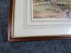 Picture 3 of 10