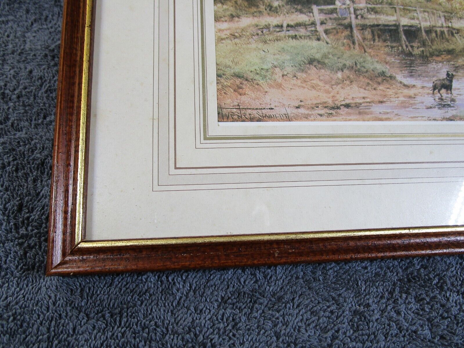 Picture 3 of 10