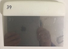 Dexter Russell Scraper 6" by 3" Stainless Steel with a white handle