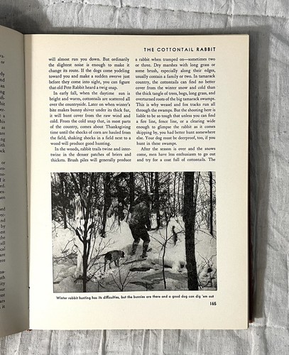 1942 Outdoor Life Cyclopedia 1st Edition for Sportsmen Fishing Hunting Camping - Picture 16 of 20