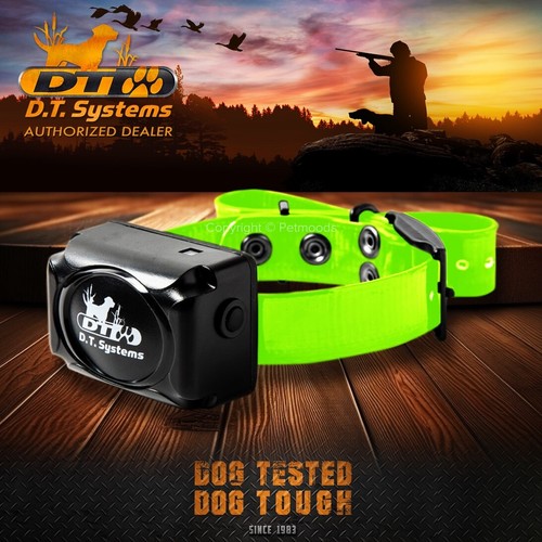 DT Systems H2O 1820 1830 1810 PLUS Add-On Dog Collar MAXX-Range 360° Green Strap - Picture 2 of 7