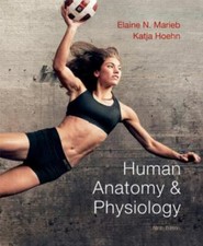 Human Anatomy and Physiology by Katja N. Hoehn and Elaine N. Marieb (2012,...