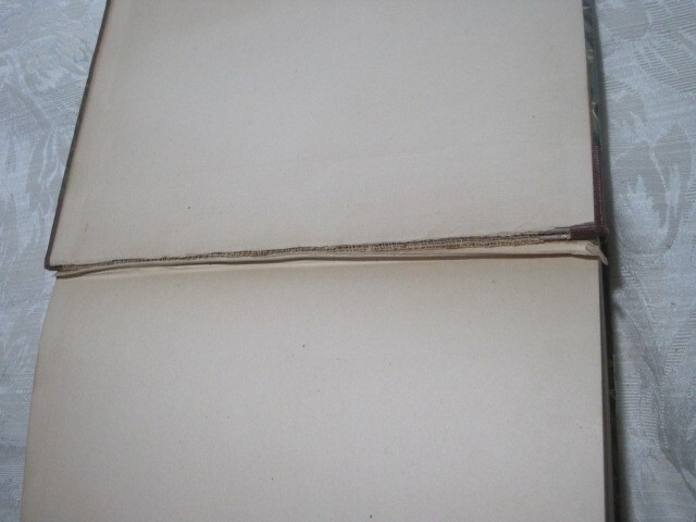 Picture 13 of 13