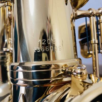 Saxophone Minerva Alto A800 1209 1366009 with Accessories | eBay