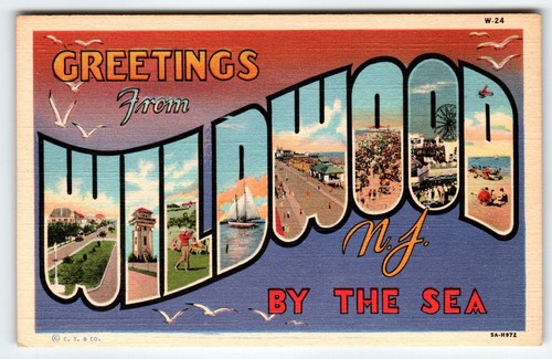 Greetings From Wildwood By The Sea New Jersey Linen Large Letter Postcard C T Co