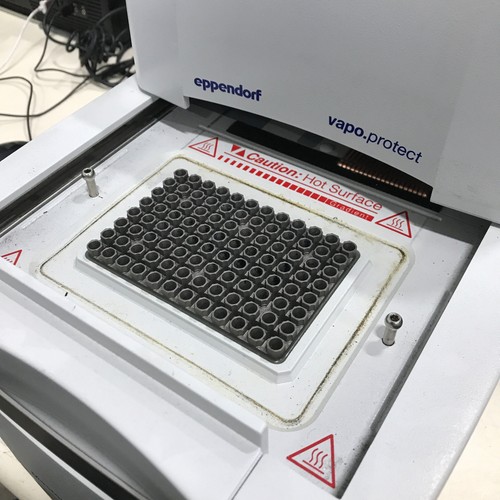 Eppendorf AG PCR Mastercycler Pro Vapo.Protect Thermal Cycler 6321 - SEE DESC - Picture 5 of 12