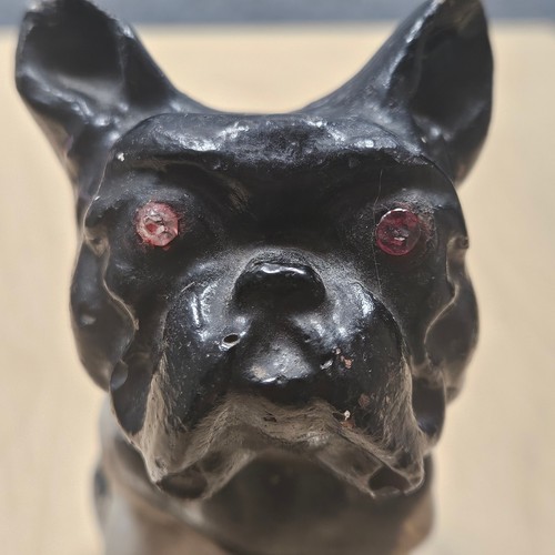 Vintage Painted Chalkware French Bulldog Signed Dated 1926 County Fair 100 years - Picture 6 of 7