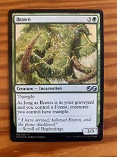 Brawn Ultimate Masters Foil