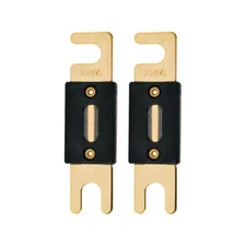 The Wires Zone High-Quality Gold Plated 250A Amp ANL Fuse (2 Pack)
