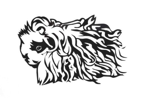 Guinea Pig Vinyl Decal Lunkarya Alpaca Peruvian Teddy Sheltie Merino Skinny Pig - Picture 12 of 16