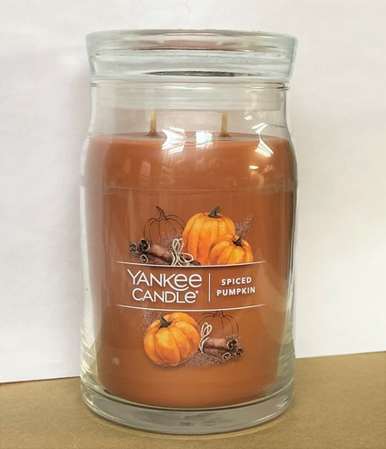 (Q-Z Scents) Yankee Candle LARGE 20 oz 22 oz JAR & TUMBLER CANDLES - 50+ CHOICES - Picture 41 of 79
