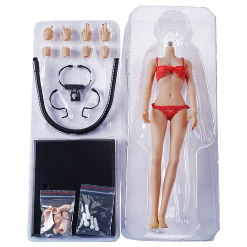 Figura de niña con cuerpo femenino sin costuras 1/6 busto mediano 12" para TBLeague Phicen Hot Toy - Imagen 9 de 28