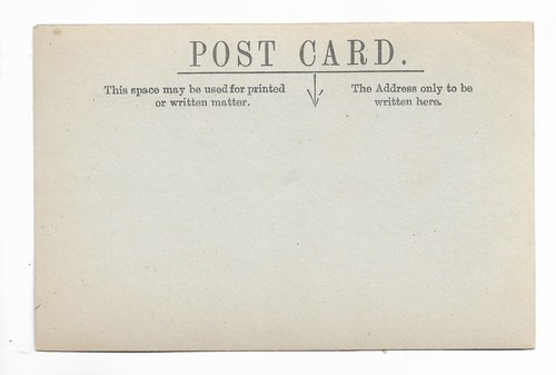 VTG Postcard Picture of Lady in Garden Cardiff, Chipping Norton Area - Picture 2 of 2