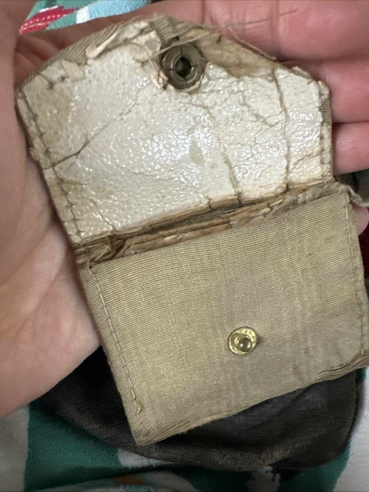 Picture 8 of 8