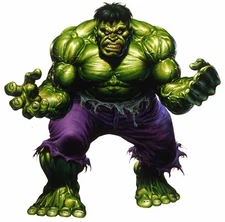 Incredible Hulk Iron On Transfer For T-Shirt & Other Light Color Fabrics #1