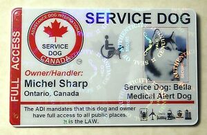 HOLOGRAPHIC-CANADA-SERVICE-DOG-ID-CARD-BADGE-ADI-LAW-ASSISTANCE-ANIMAL-TAG-22