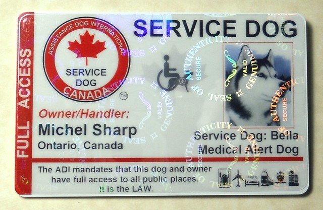 Holographic Canada Service Dog ID Card Badge Adi Law
