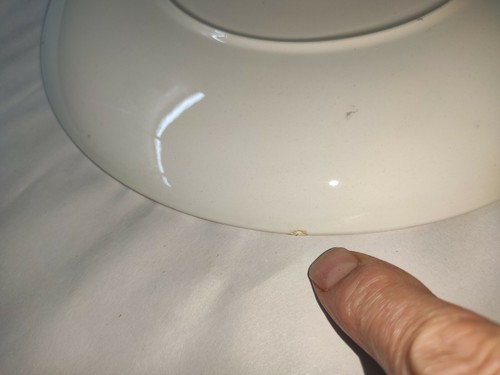 Royal Doulton Vermilion Lake & Mount Rundle Teller. D6473 101/2" Platte. - Bild 4 von 6