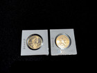 2000P 2000D Sacagawea Dollars. 2 Uncirculated Native Americain Dollars Bu/Au